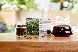 Single Origin Coffee: The Complete Guide