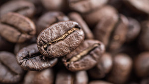 Flavorful Science: What Makes Your Coffee Taste so Amazing