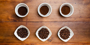 Geisha coffee cupping