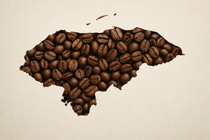 History Made: Honduras' Top Two Coffees Stay Home After Cup of Excellence Auction Win