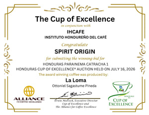 Back-to-Back: Spirit Origin Wins the Top Lot at Honduras' Record-Breaking 2026 Cup of Excellence