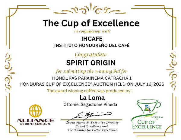 Back-to-Back: Spirit Origin Wins the Top Lot at Honduras' Record-Breaking 2026 Cup of Excellence