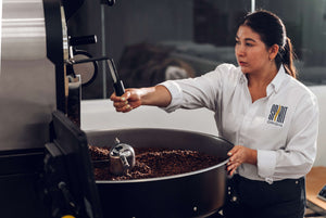 Honduras Coffee Tasting Trio – Espresso Blend, Parainema & Bourbon
