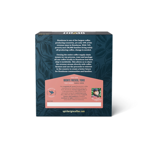 Single-Use Pour-Over Drip Bags - Parainema (Box of 10 Bags)