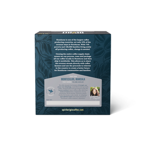 Single-Use Pour-Over Drip Bags - Mix Sample Set (Box of 10 Bags)