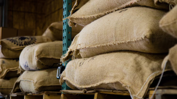 Green coffee beans packed in burlap sacks for shipping