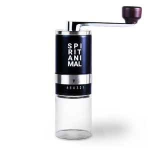 Manual Burr Coffee Grinder