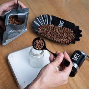 Manual Burr Coffee Grinder