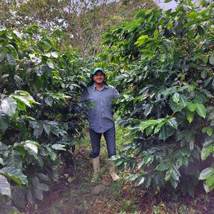 Oscar Daniel Ramirez, producer and grower of our Espresso Blend coffee.
